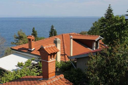 Hostal Double Room Medveja 7775c