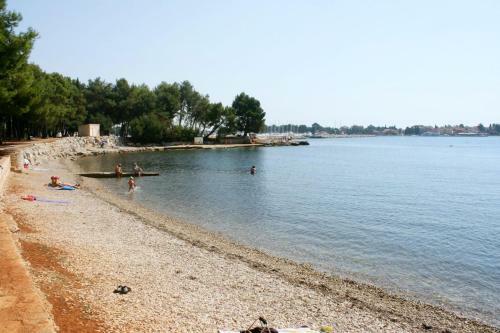 Hostal Apartments With A Parking Space Novigrad - 2536