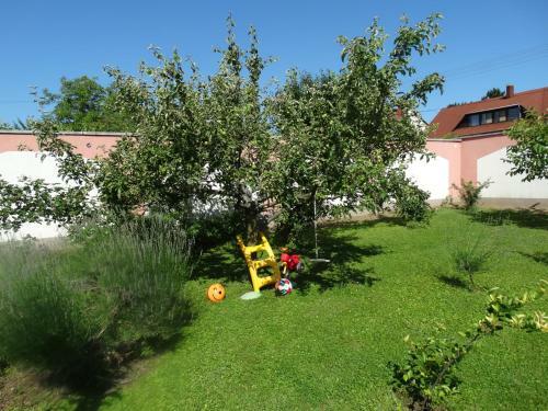 Bed & Breakfast Budai Vend�gh�z Panzi�