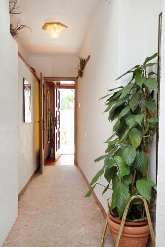 Hostal Studio Dramalj 2387a