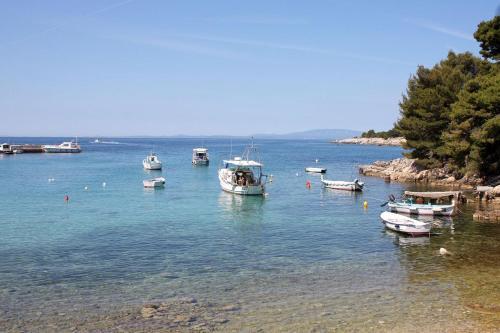 Apartment Suha Punta 5050a