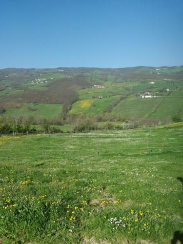 Bed & Breakfast Fattoria Ca' Di Fatino