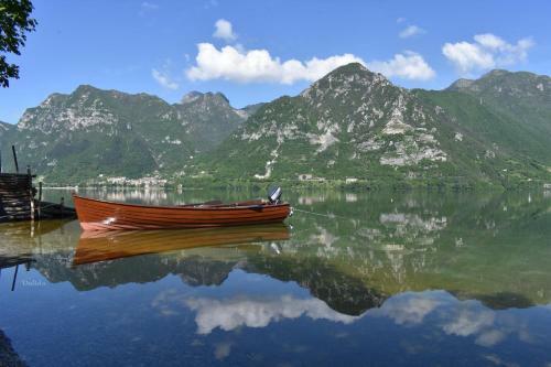B&B Tulipano