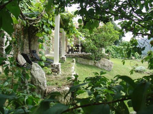 Casas Lucas - Carleo