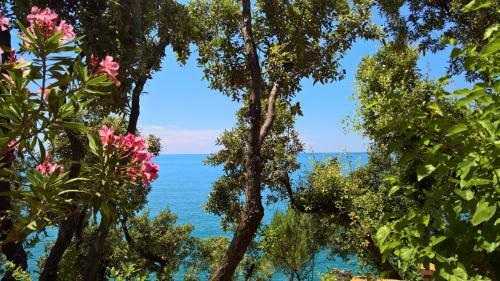 Hotel Cala Del Citro