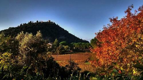 Agroturismo Podere L'olmaia