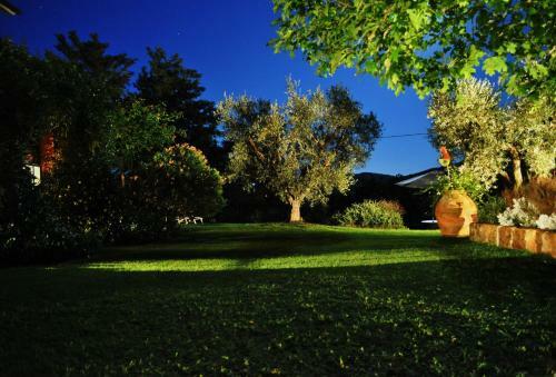 Agroturismo Podere L'olmaia