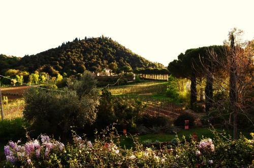 Agroturismo Podere L'olmaia