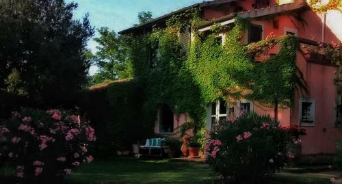Agroturismo Podere L'olmaia