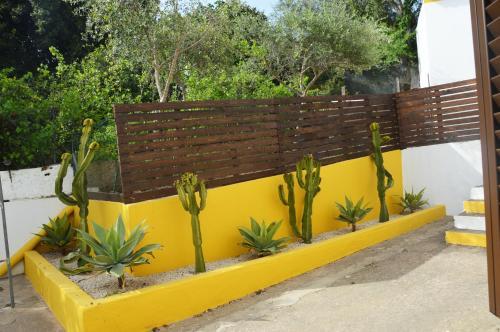 Quinta Das Andorinhas