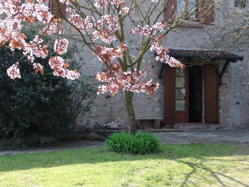 B&B Cascina Campagnola