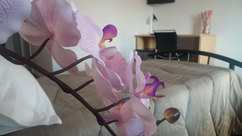B&B Le Palme