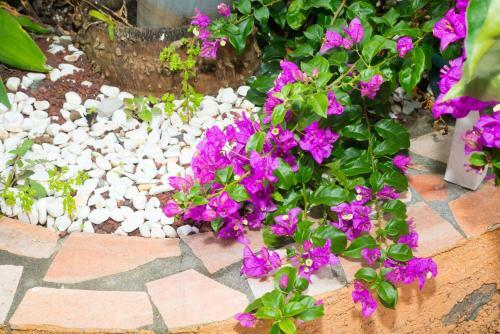 Bed & Breakfast Ti Kaz Hoareau