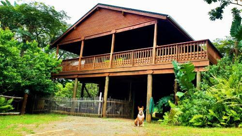 Hib Escape Villa