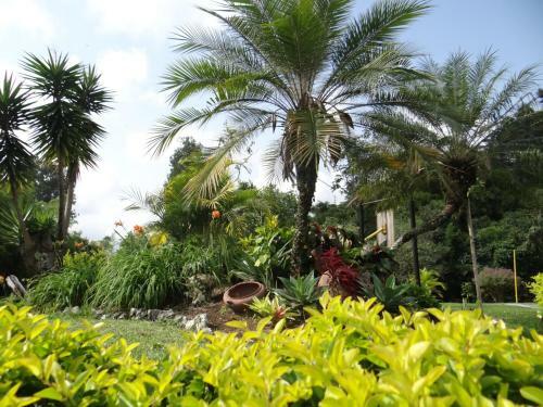 Villa Finca San Fernando