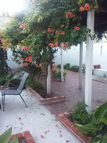 Bed & Breakfast Stone Wasi