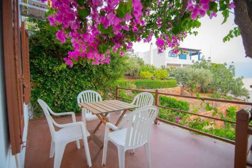 Andrew's House Punta Zeza