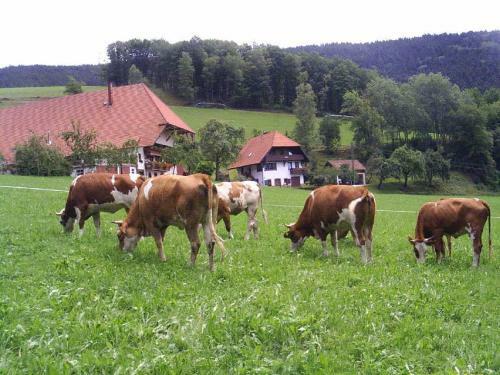 Apartamento Deckerhof