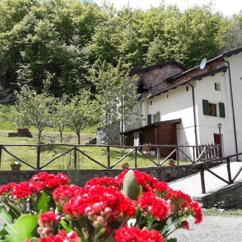 B&B Boscoverde