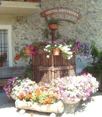 Agroturismo Agriturismo Il Vecchio Torchio