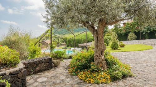 Villa Il Palmento Dell'etna
