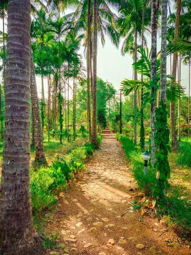 Hotel Nature's Nest Nature Resort Goa