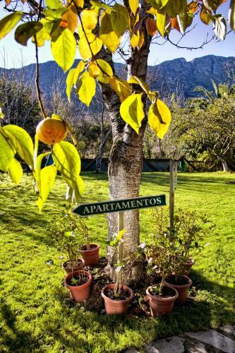 Apartamentos Rurales L'arquera