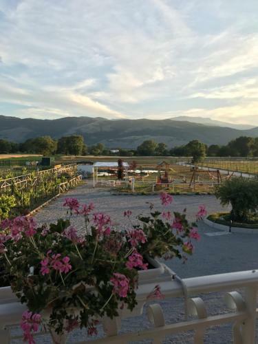 Bed & Breakfast Ca' Del Conte Agrihouse