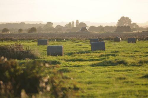 Bed & Breakfast Manor Farm Stay
