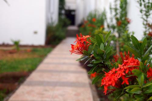 Hotel Island Guesthouse & Caf�