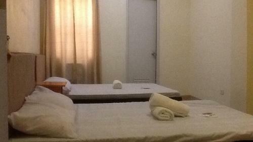 Hostal Aam Transient And Guest House