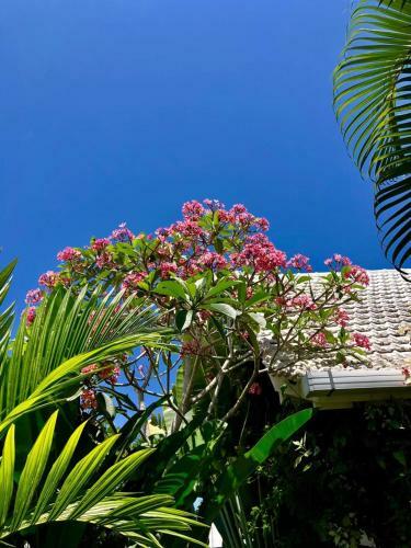 Bed & Breakfast Villa Hari Indah