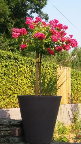 Hostal Moulin De Benneville