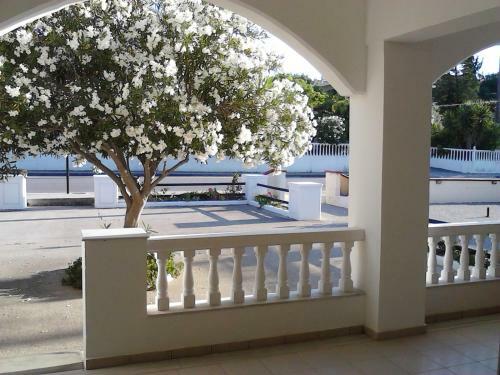 Colonial Apartment