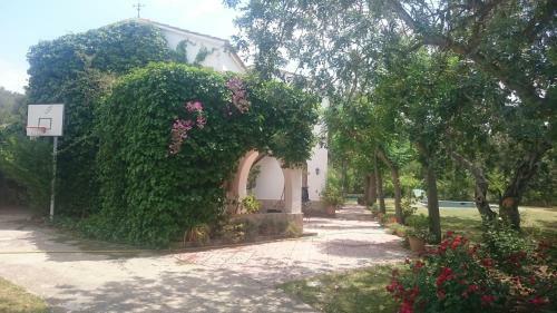 Chalet Cam� D'en Gala