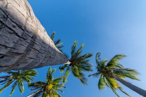 Hostal Villas Playa Hermosa Beach Hotel