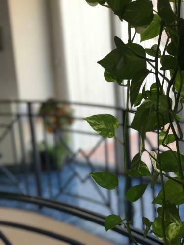 Hotel La Passerelle
