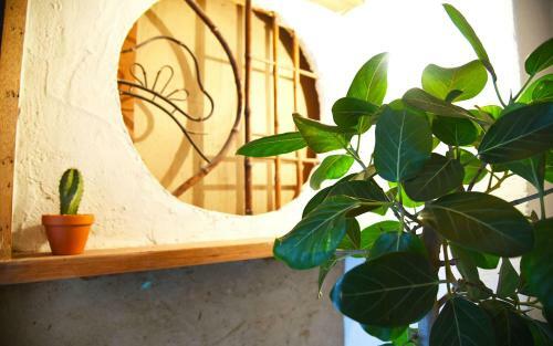 Hostal Guesthouse Mokumoku