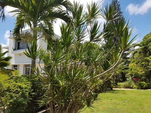 Hostal Habitation Villa Les Cassias