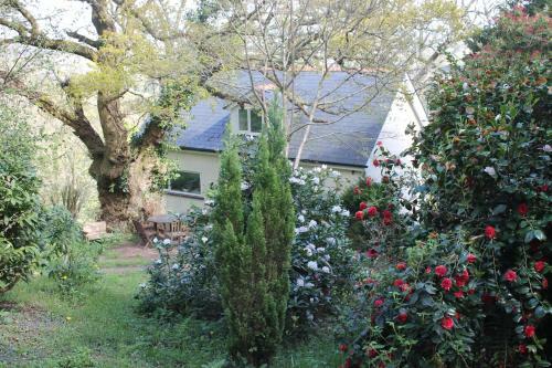 Apartamentos The Foretop