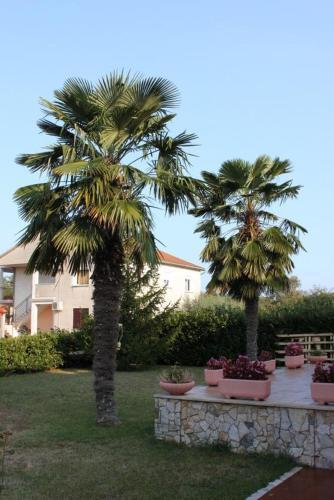 Hostal Studio Rozac 7072a