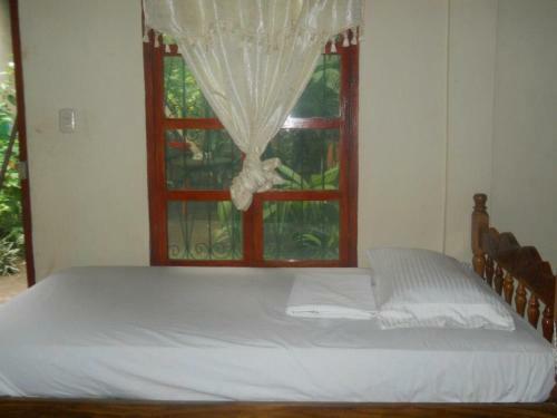 Hostal Hostel Edelma