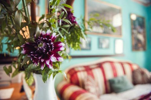 Bed & Breakfast La Torre