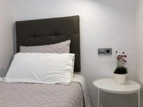 Apartaments La Palmera