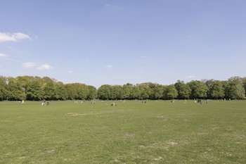 Apartments Im Schillerpark