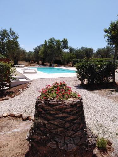 B&B La Rucchetta