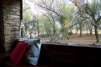 Posada Foreva Wild