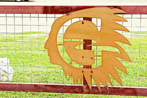 Tipi 4 Soaring Eagle
