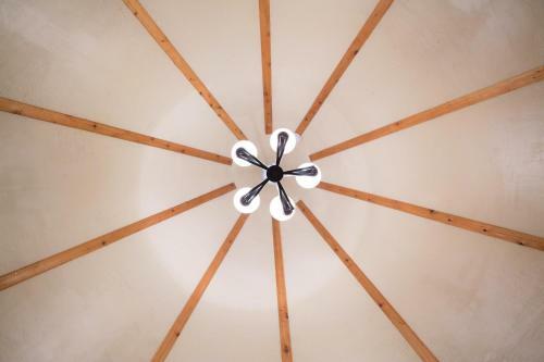Tipi 3 Jumping Fish