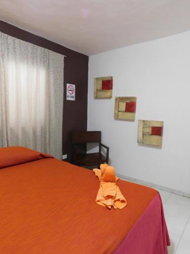 Hostel Simon